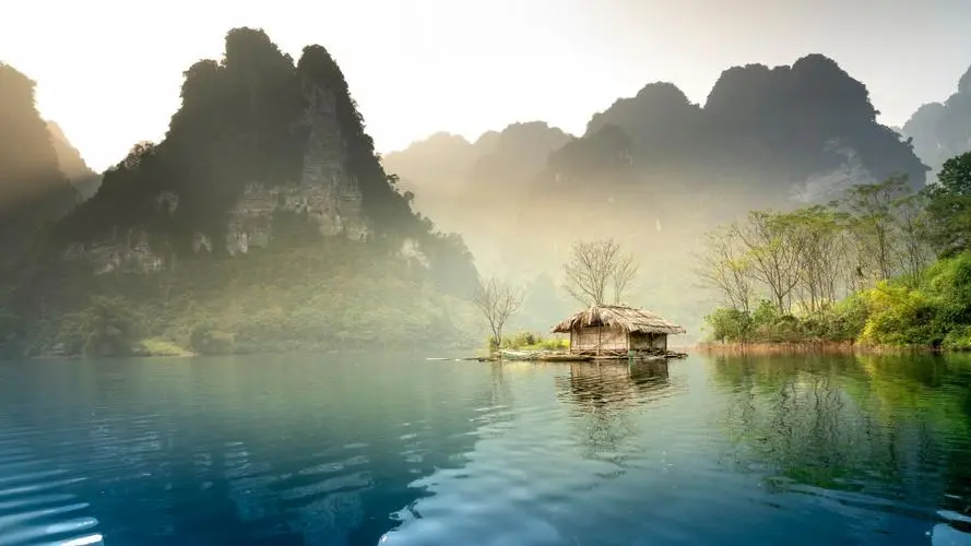 高质量绿色绿色